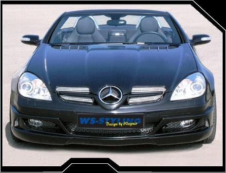 Mercedes SLK R171 - Predný podnárazník WS